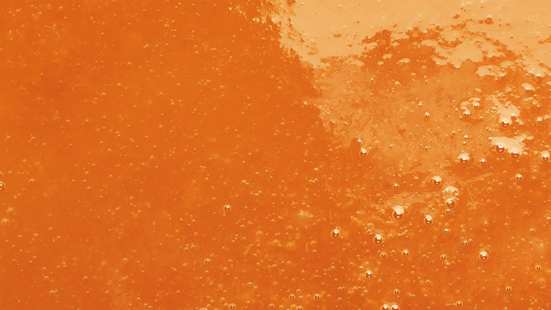 Adamance - Purée d'abricots flavorcot et lido