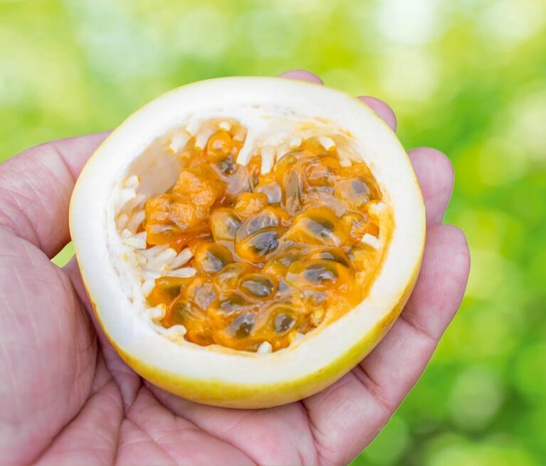 _Half passion fruit in hand on white background copie