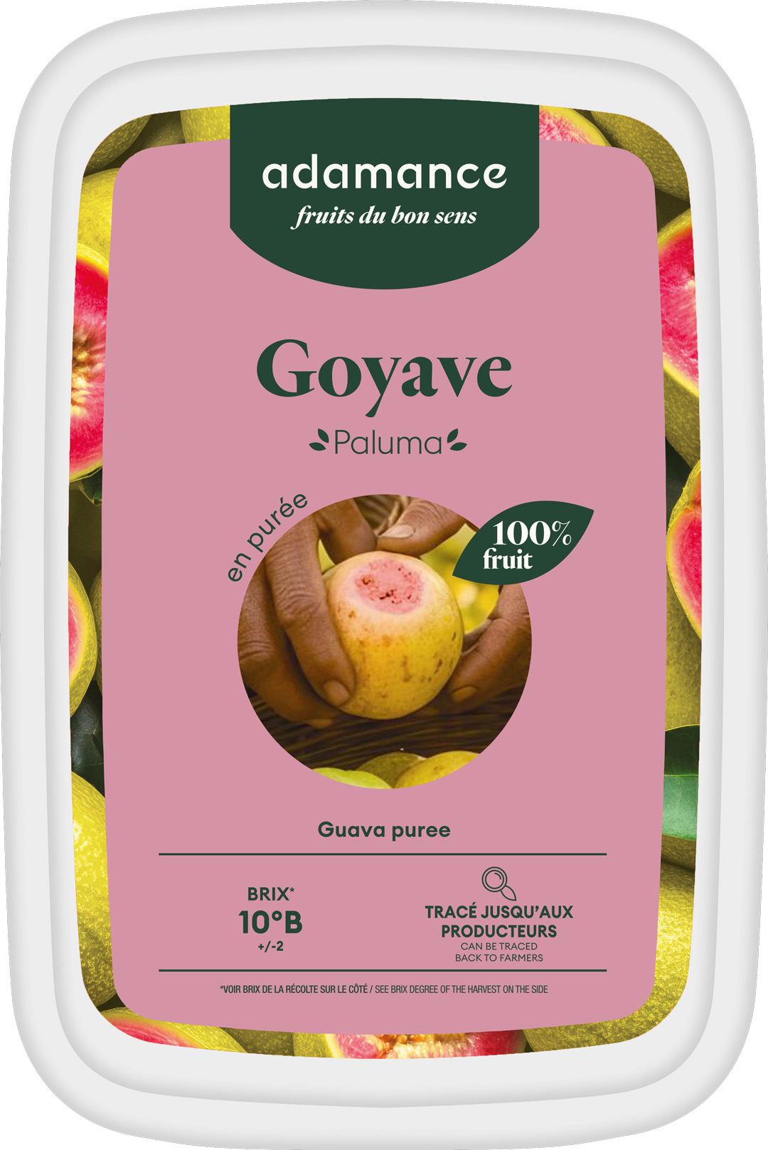 Goyave en purée surgelée adamance