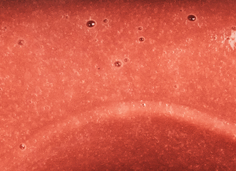 Purée de goyave Adamance